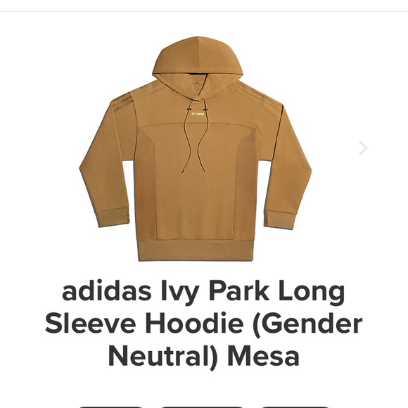 IVY PARK Brown Hoodie - Picture 3 of 6
